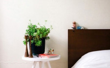 Có nên mang cây xanh vào phòng ngủ ?