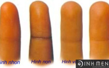 Cách xem tướng đoán tính cách con người qua hình dạng ngón tay